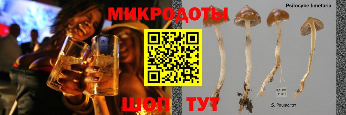 Галлюциногенные грибы мухоморы Добрянка